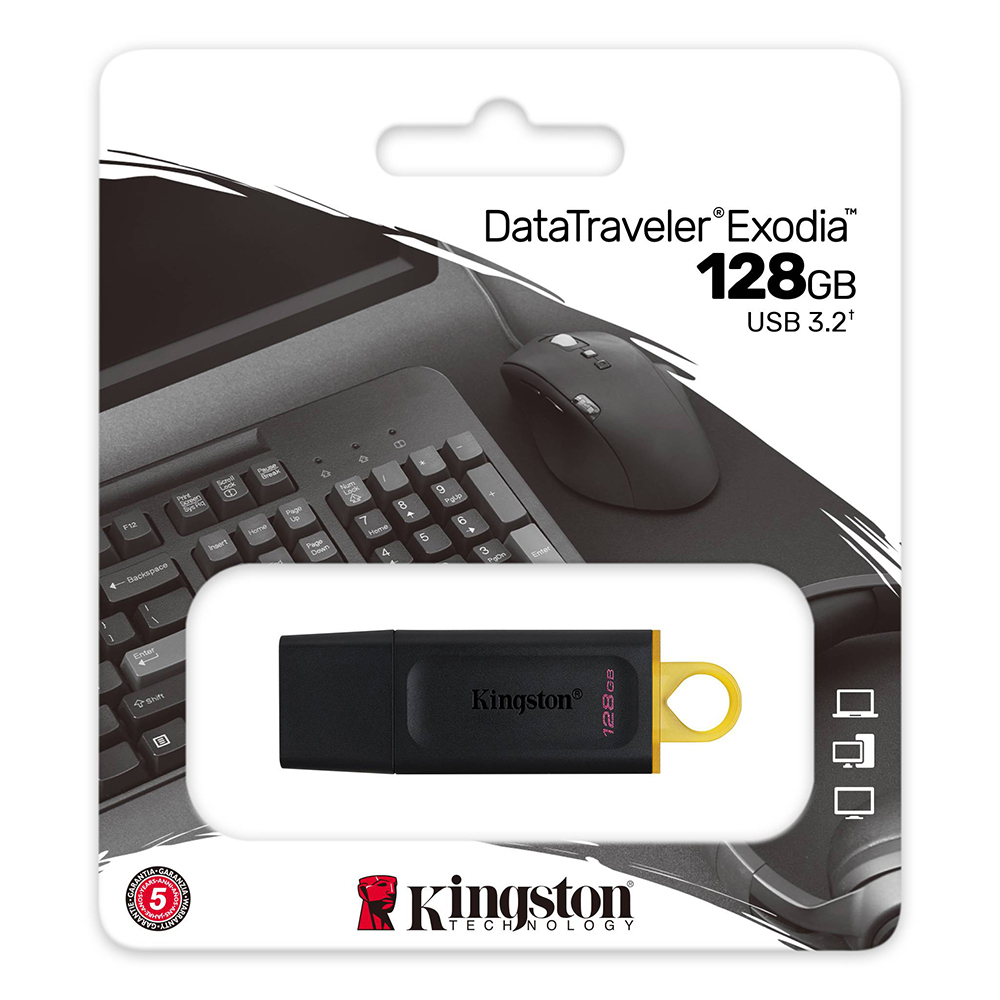 FLASH MEMORY DTX 128GB KINGSTONE