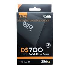SSD M2 DATO DP700 256 GB