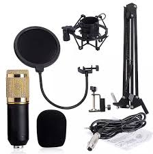 Professional Condenser Microphone With Patented Audio Reference Companding-New